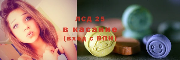 стафф Гатчина
