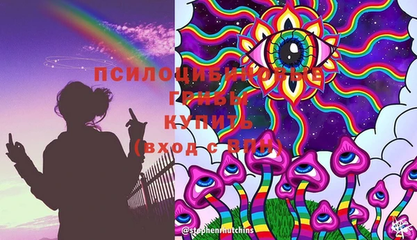 ГАЛЛЮЦИНОГЕННЫЕ ГРИБЫ Осташков