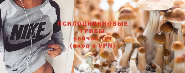 ГАЛЛЮЦИНОГЕННЫЕ ГРИБЫ Осташков