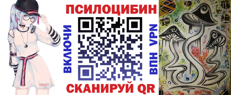 blacksprut онион  Шенкурск  Псилоцибиновые грибы ЛСД 